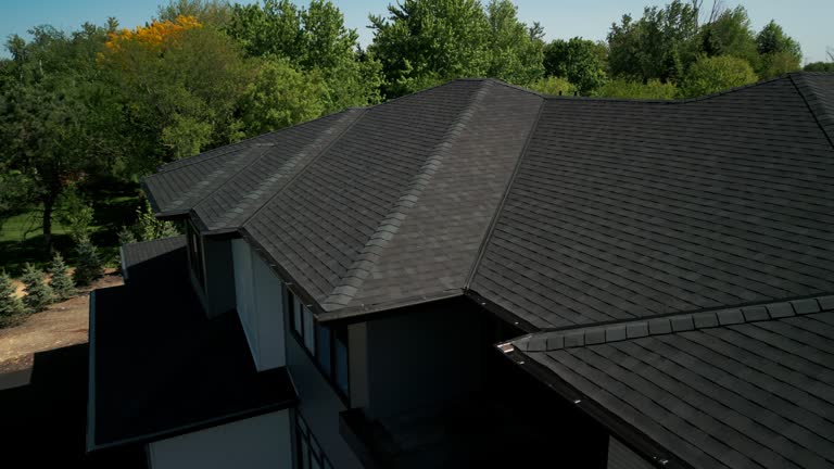 Best Metal Roofing Installation  in South Holland, IL
