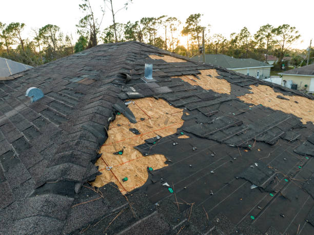 Best Roof Coating and Sealing  in South Holland, IL