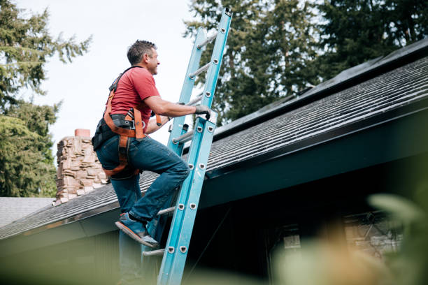 Best Rubber Roofing (EPDM, TPO)  in South Holland, IL