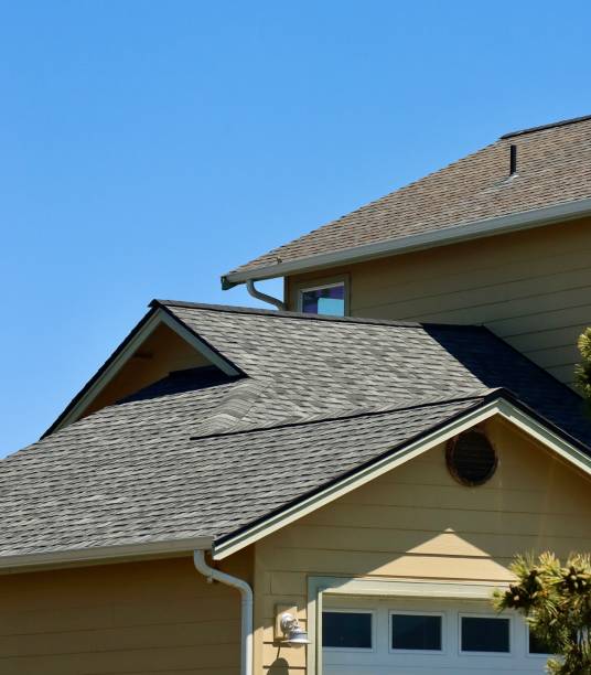 Best Asphalt Shingle Roofing  in South Holland, IL